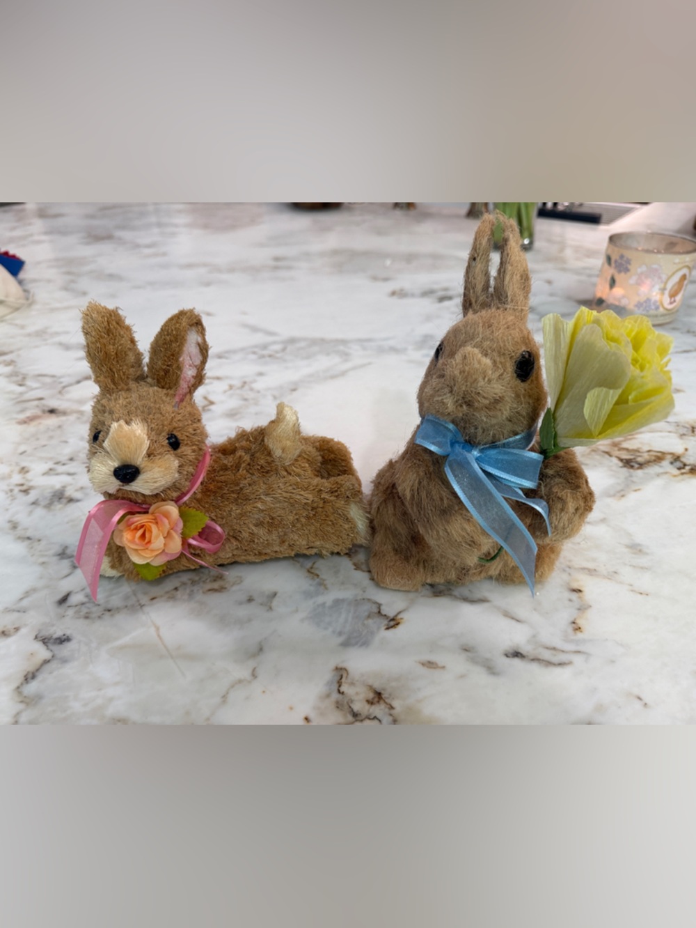 Lush Brown Plush Bunny Pair with Pink and Blue Ribbon Accents